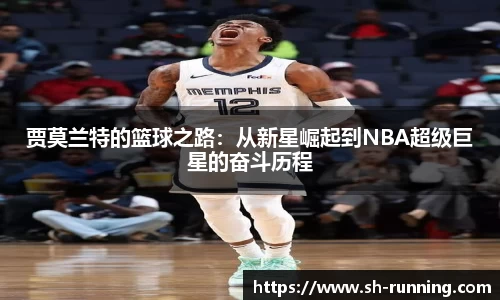 贝博BB